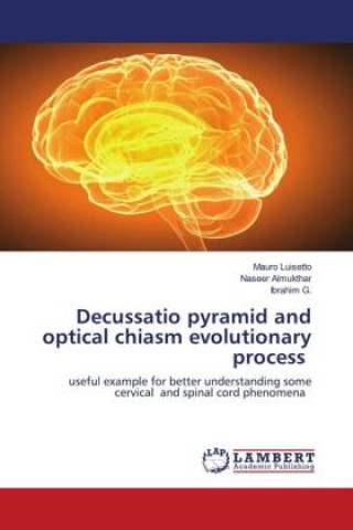 Knjiga Decussatio pyramid and optical chiasm evolutionary process Naseer Almukthar