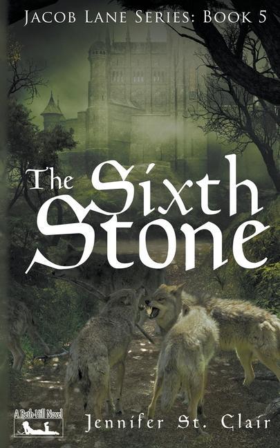 Book Sixth Stone Jennifer St Clair