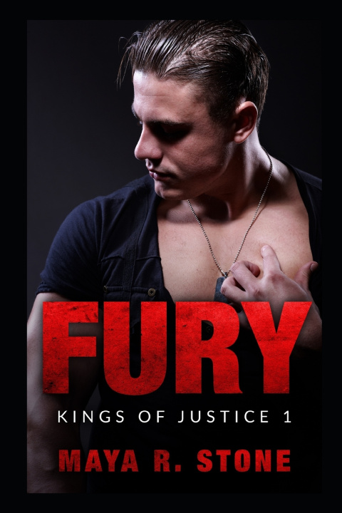 Knjiga Fury Stone Maya R. Stone