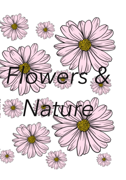 Knjiga Flowers and Nature Murphy Katie Murphy