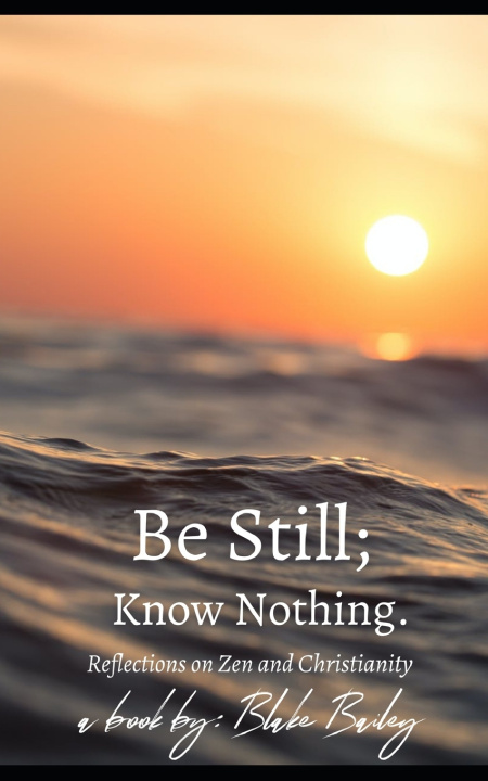 Book Be Still; Know Nothing Blake Bailey