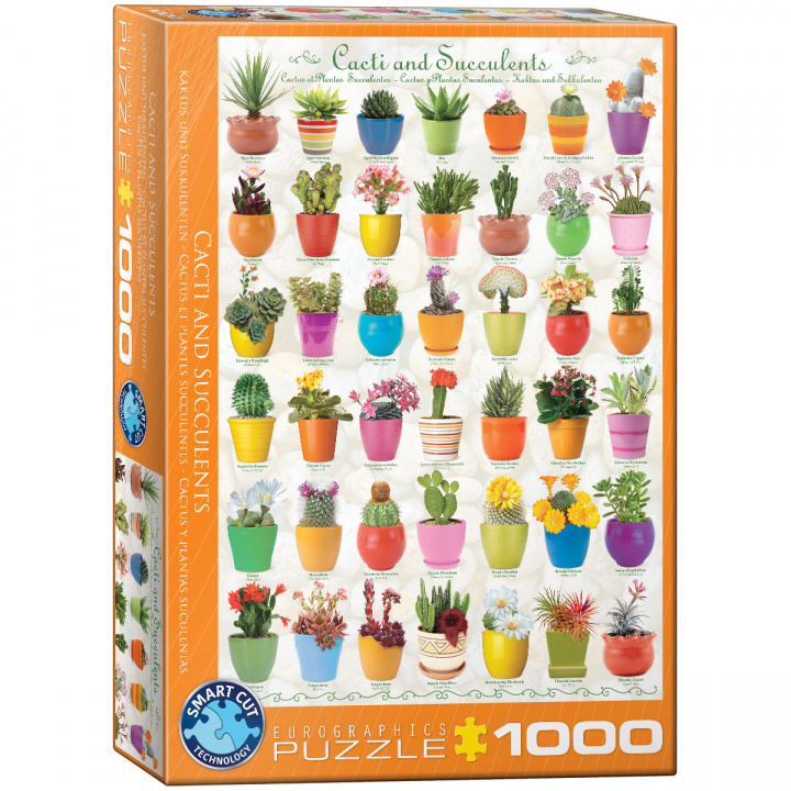 Könyv Puzzle 1000 Cacti & Succulents 6000-0654 