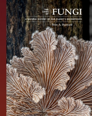 Kniha Lives of Fungi Britt Bunyard