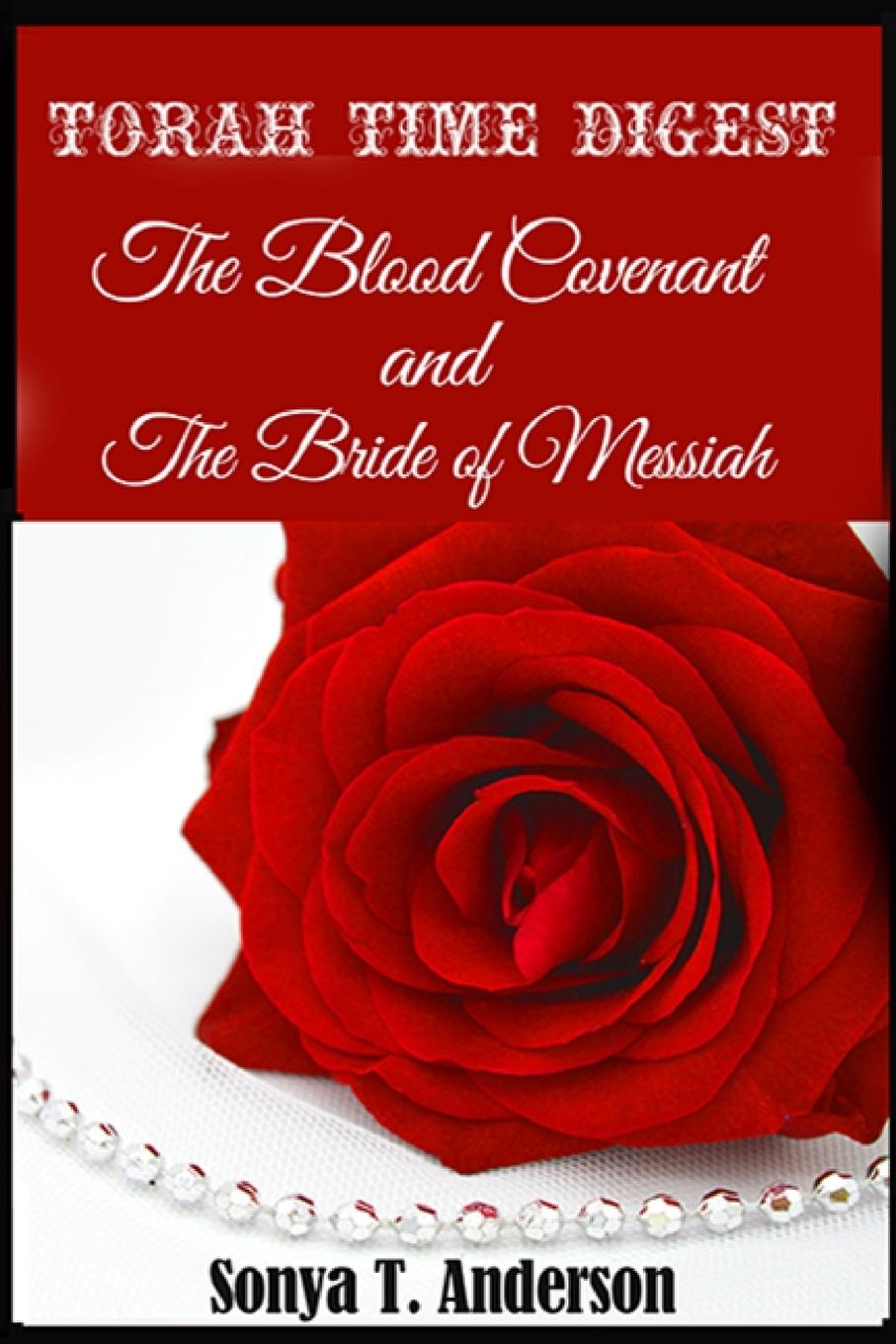 Buch Torah Time Digest Sonya T. Anderson