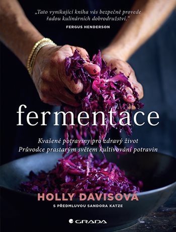 Book Fermentace Holly Davis