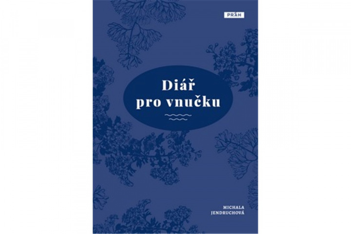 Kniha Diář pro vnučku Michala Jendruchová