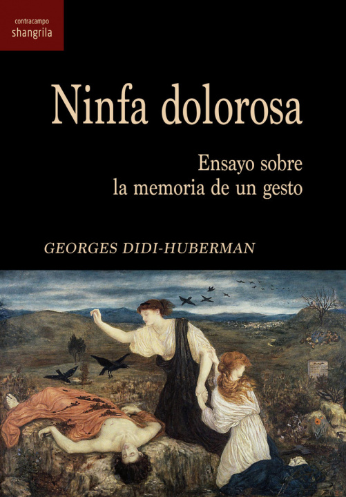 Kniha Ninfa dolorosa DIDI-HUBERMAN