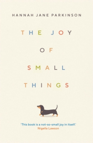 Kniha Joy of Small Things 