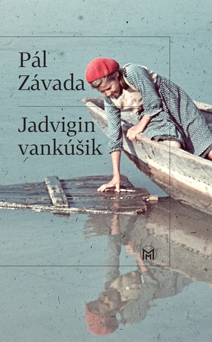 Könyv Jadvigin vankúšik Pál Závada
