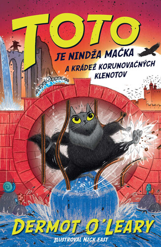 Kniha Toto je nindža mačka a krádež korunovačných klenotov Dermot O´Leary