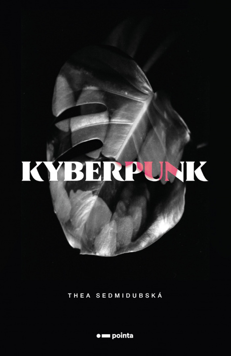 Book Kyberpunk Thea Sedmidubská