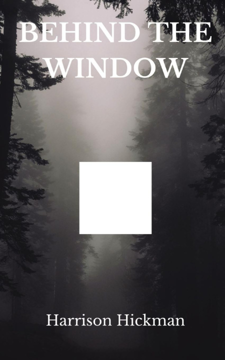Book Behind The Window Harrison Hickman