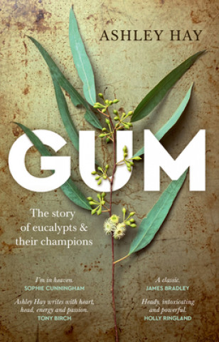 Book Gum Ashley Hay