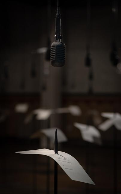 Knjiga Shilpa Gupta: Sun at Night Shilpa Gupta