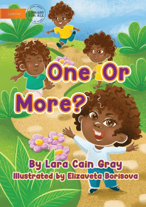 Knjiga One Or More? Lara Cain Gray