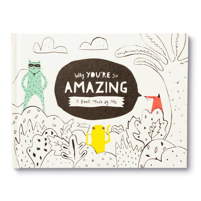 Kniha Why You're So Amazing: A Fun Fill-In Book for Kids to Complete to Create a Special Gift Jill Labieniec