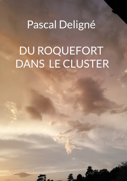 Knjiga Du roquefort dans le cluster Pascal Deligné