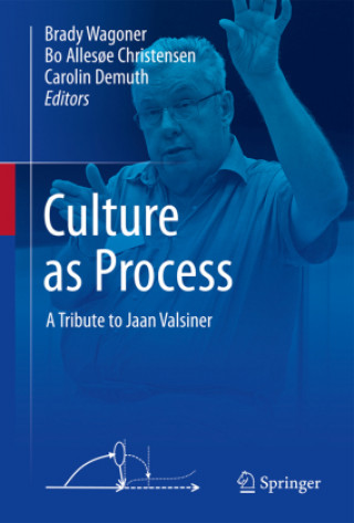 Boek Culture as Process Brady Wagoner