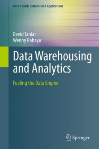 Libro Data Warehousing and Analytics David Taniar