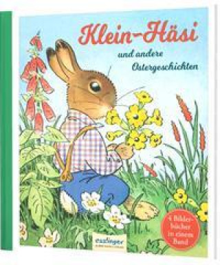 Kniha Klein-Häsi und andere Ostergeschichten Marianne Speisebecher