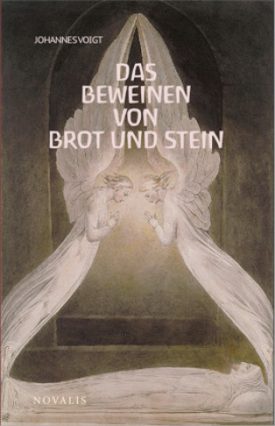 Kniha Reihe Geisteswissenschaft / Das Beweinen von Brot und Stein 