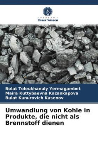 Kniha Umwandlung von Kohle in Produkte, die nicht als Brennstoff dienen Maira Kuttybaevna Kazankapova