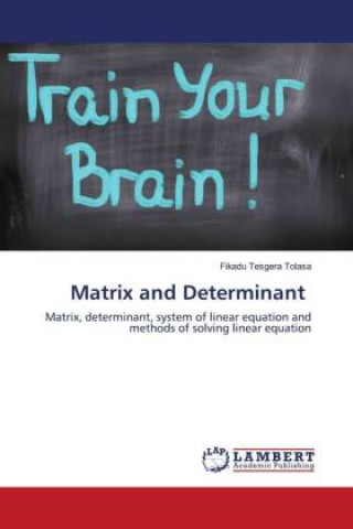 Knjiga Matrix and Determinant Fikadu Tesgera Tolasa