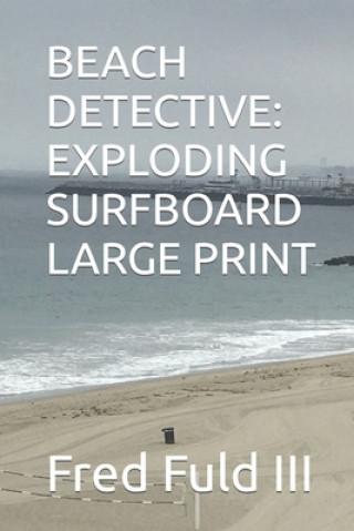 Boek Beach Detective Fuld