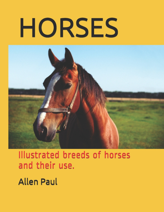 Boek Horses Paul Allen Paul