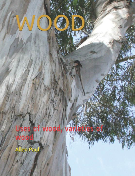 Boek Wood Paul Allen Paul