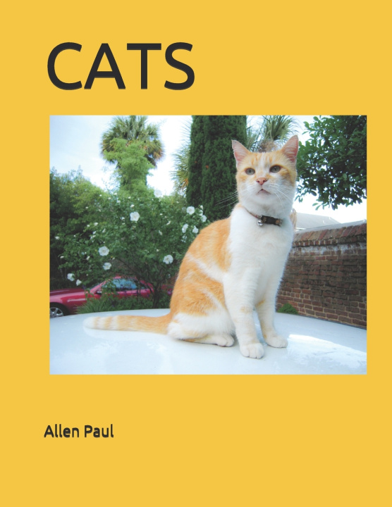 Knjiga Cats Paul Allen Paul
