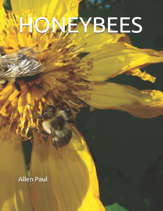 Książka Honeybees Paul Allen Paul
