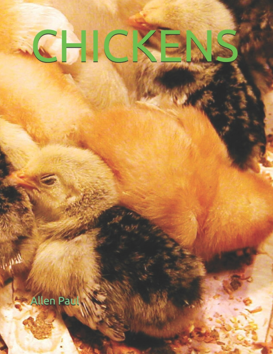 Boek Chickens Paul Allen Paul