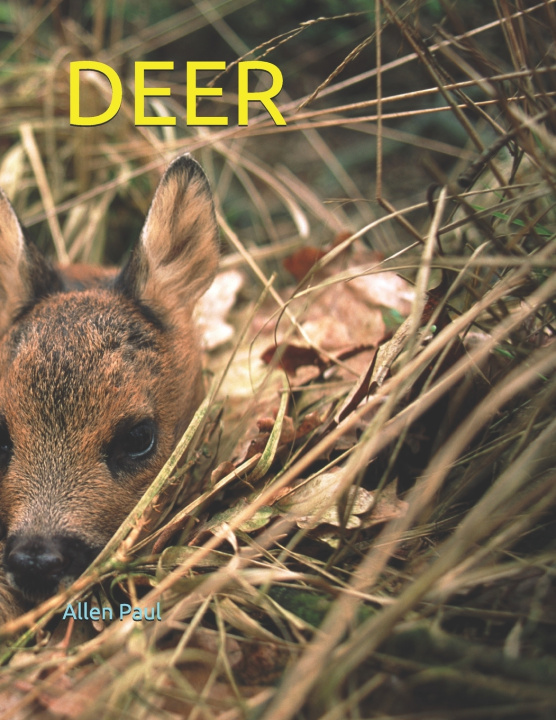 Knjiga Deer Paul Allen Paul