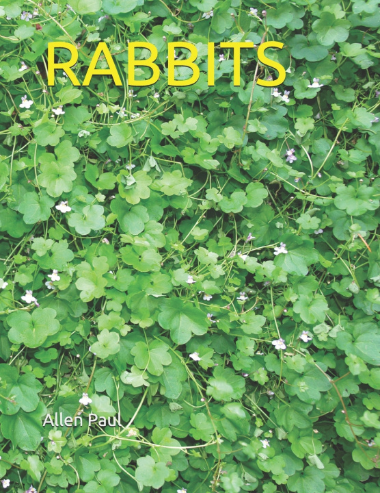 Knjiga Rabbits Paul Allen Paul