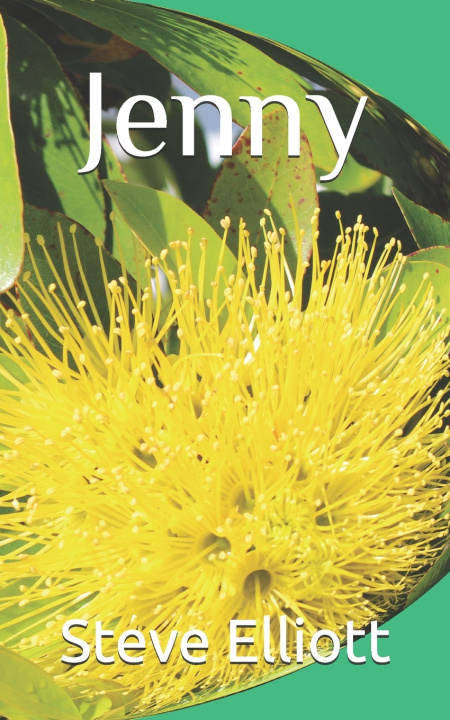 Knjiga Jenny Elliott Steve Elliott