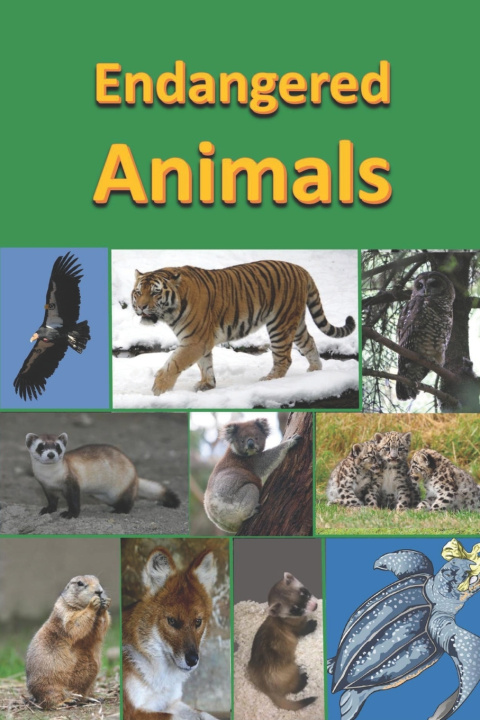 Carte Endangered Animals Linville Rich Linville