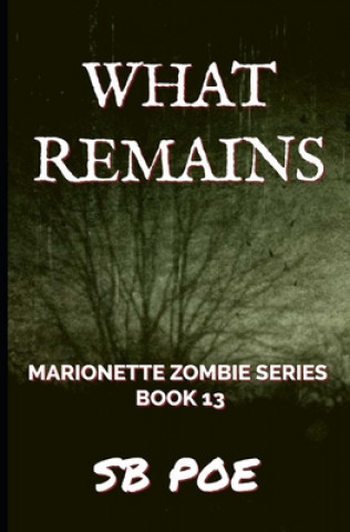 Knjiga What Remains S B Poe