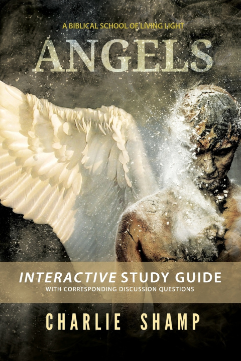 Knjiga Angels Workbook Shamp Charlie Shamp
