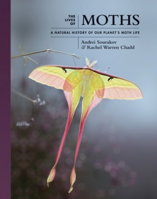 Kniha Lives of Moths Andrei Sourakov
