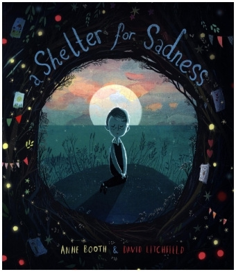 Kniha Shelter for Sadness David Litchfield