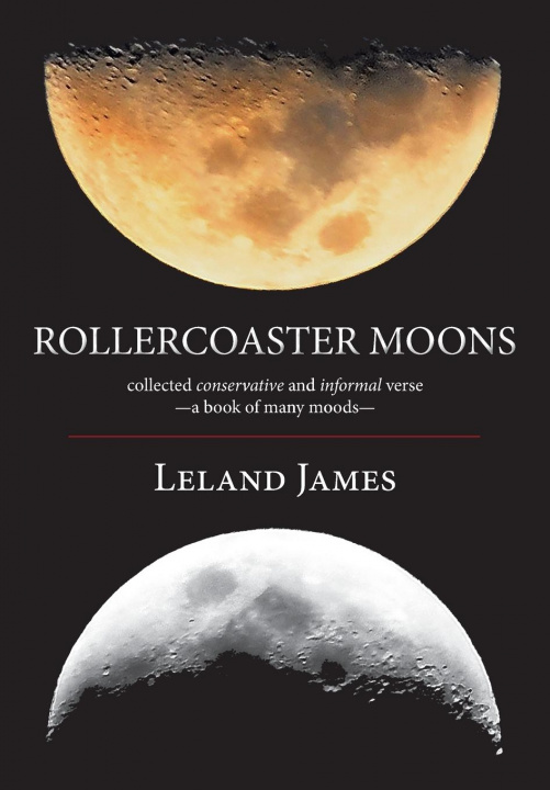Βιβλίο Rollercoaster Moons Leland James