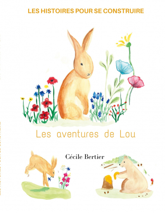 Kniha Les aventures de Lou 