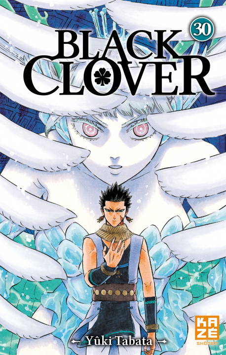 Kniha Black Clover T30 TABATA-Y