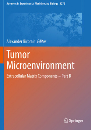 Book Tumor Microenvironment Alexander Birbrair
