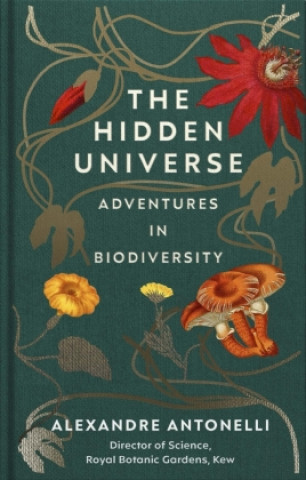 Buch Hidden Universe 