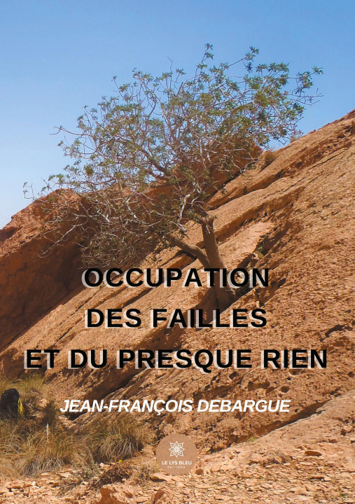 Kniha Occupation des failles et du presque rien 
