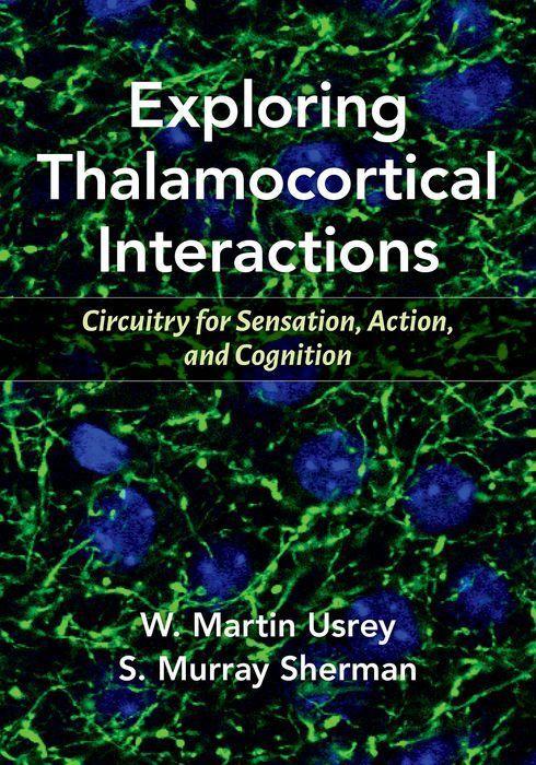 Kniha Exploring Thalamocortical Interactions 