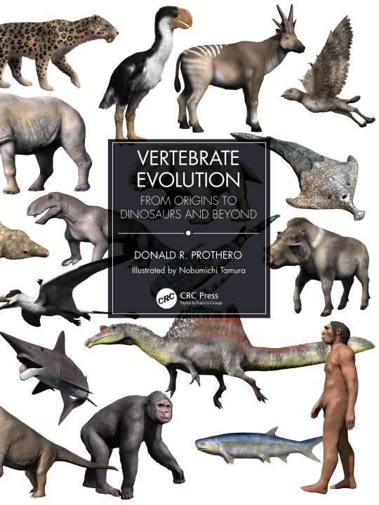 Könyv Vertebrate Evolution Donald Prothero