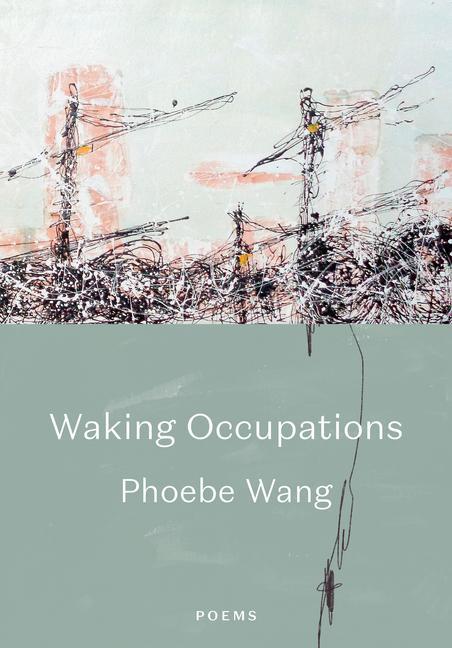 Knjiga Walking Occupations Wang